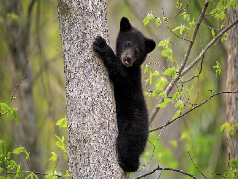 上海三代供卵例子,山东临沂做试管婴儿成功率最高的医院是哪里？如何选-上海