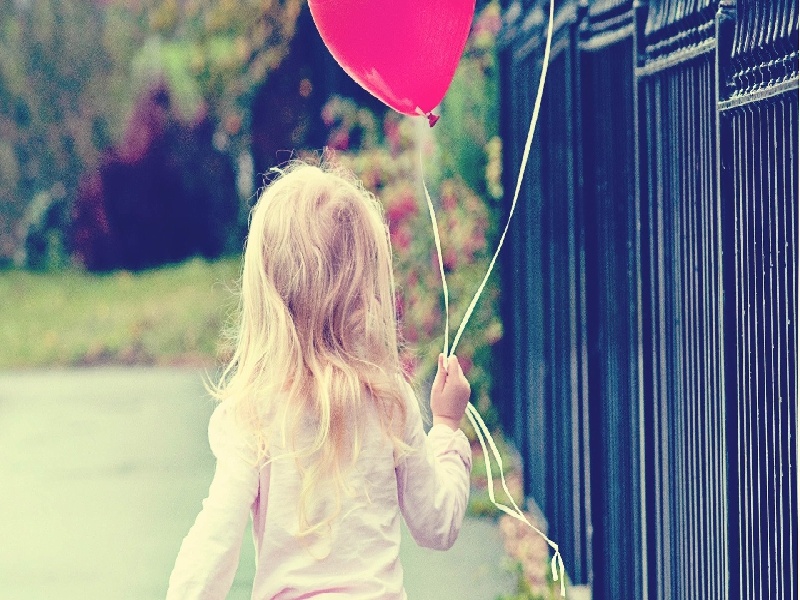 上海赵老师试管课堂（散养鸡做试管）